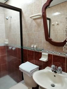 a bathroom with a toilet and a sink and a mirror at Hotel Bolivar Plaza in Manizales