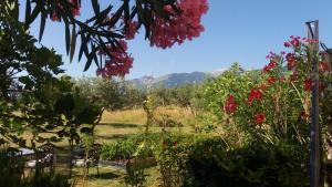 Casale Della Maiella في غواردياغريلي: حديقة بها زهور حمراء وجبال في الخلفية