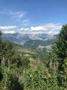 a view of a valley with mountains and flowers at Studio 22m² balcon Pégase Phenix Le Corbier in Le Corbier +11 photos