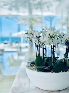 Zahrada ubytování Hotel Aromar