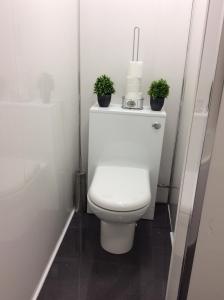 a bathroom with a toilet with two plants on it at Station House in Didcot