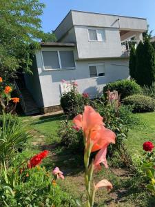 Gallery image of Villa California in Sinemorets +34 photos