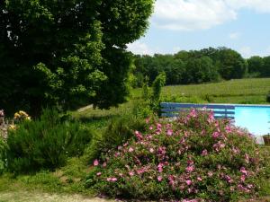 un banc bleu dans un jardin avec des fleurs roses dans l'établissement Château Régaldo-Saint Blancard, à Salleboeuf