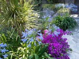 Gallery image of Villa Albachiara in Camogli