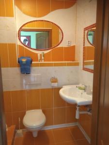 un bagno con lavandino, water e specchio di Guest House SAMSON a Vahaneč