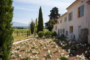 un jardín con flores blancas frente a un edificio en Château La Croix Des Pins, en Mazan