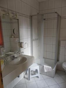 a bathroom with a sink and a shower at Hotel Wenzels Hof in Zwethau