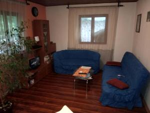 a living room with two blue couches and a window at Apartmani Lazić in Pluzine