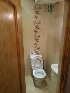 un baño con inodoro y lavabo en Gaisma, en Ventspils