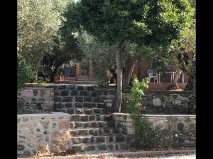 Gallery image of Pefka Rooms in Mytilini