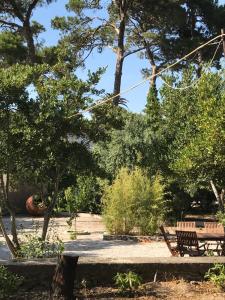 Gallery image of Pefka Rooms in Mytilini