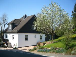 En have udenfor Ferienwohnung Hitzegrad