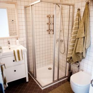 a bathroom with a shower and a toilet and a sink at Domi Lini in Druskininkai +61 photos