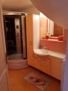 La salle de bains est pourvue d'un lavabo et d'une douche. dans l'établissement Mirina, à Prvić Šepurine