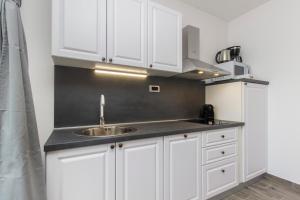 Kuchyňa alebo kuchynka v ubytovaní Apartmani Bedem