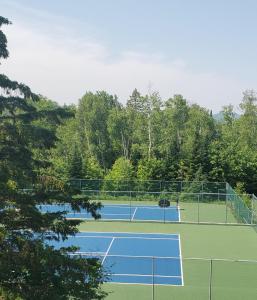 Tenis a/nebo squash v ubytování Hôtel Far Hills nebo okolí