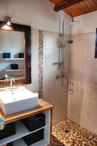 een badkamer met een wastafel en een douche bij Villa Tara Fort Royal in Deshaies