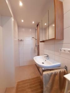 ein weißes Bad mit einem Waschbecken und einer Dusche in der Unterkunft Ferienwohnung Martinschitz in Sankt Kanzian am Klopeiner See