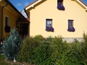 Taman di luar Apartmán Augsten