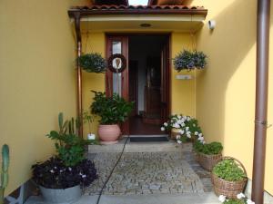 Taman di luar Apartmán Augsten