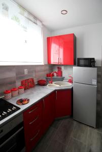 Kuchyň nebo kuchyňský kout v ubytování Apartment Kala