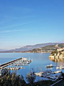 a group of boats docked at a dock on a lake at Lodge Rosa in Agropoli +32 photos