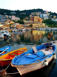 a group of boats docked in a harbor at Lodge Rosa in Agropoli
