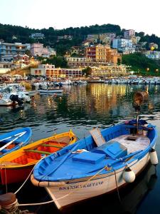 a group of boats docked in a harbor at Lodge Rosa in Agropoli