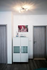 Kuchyň nebo kuchyňský kout v ubytování Apartment Kala