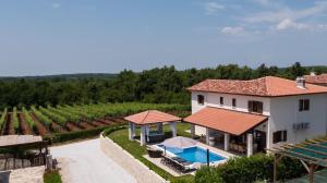 an aerial view of a villa with a pool and a vineyard at Villa Luka in Višnjan