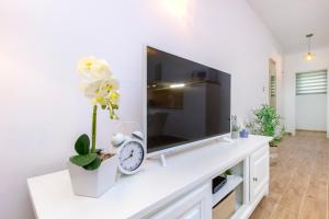 Televízia a/alebo spoločenská miestnosť v ubytovaní Apartmani Bedem