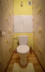 a bathroom with a toilet with a window above it at PaulMarie Apartments on Zaslonova 74 in Soligorsk