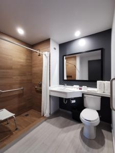 een badkamer met een toilet, een wastafel en een spiegel bij Bedford Hotel in Querétaro