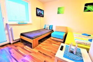 Μια τηλεόραση ή/και κέντρο ψυχαγωγίας στο Penzion Privat Siesta