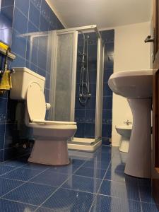 a bathroom with a toilet and a shower and a sink at Il vecchio mulino in Introd +9 photos