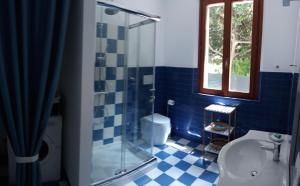 a blue and white bathroom with a shower and a toilet at Le Pecore di Terracotta in Pesaro