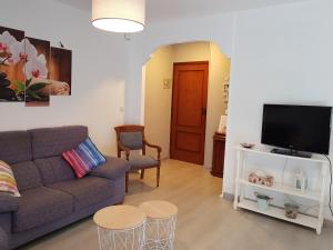 a living room filled with furniture and a tv at Apartamento Las Hermanas in Pontevedra