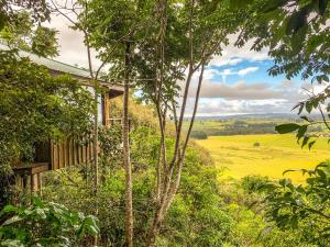 a house in the woods with a view of a field at Mt Quincan Crater Retreat in Yungaburra