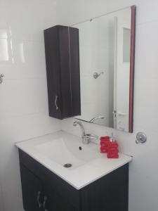 a bathroom with a sink and a mirror at Apartment for relaxing and for health in Haifa +35 photos