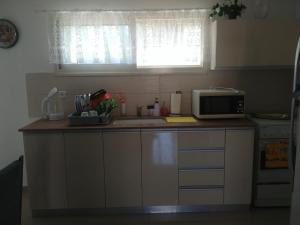 a kitchen with a counter with a microwave and a sink at Apartment for relaxing and for health in Haifa
