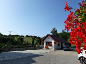 Fotografia z galérie ubytovania Pansion Breza na Plitvických Jazerách