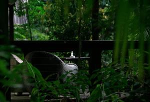 Songbirds Rainforest Retreat外面的花园