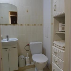 Et badeværelse på Mieszkanie 4-pokojowe w Toruniu przy UMK