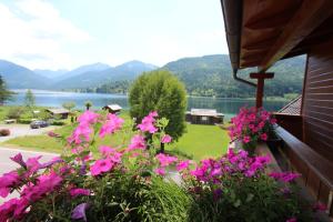 Paesaggio naturale nelle vicinanze dell'affittacamere