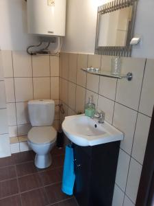 łazienka z toaletą i umywalką w obiekcie Apartament Mariacka w Bydgoszczy