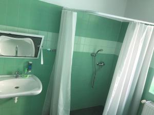 a green bathroom with a sink and a shower at Hostel Bernarda Bolzana in Tábor