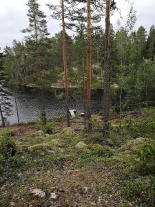 a bench in the woods next to a body of water at Tontti in Petääjärvi