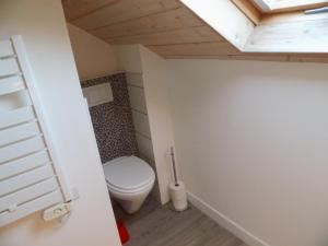 baño pequeño con aseo y tragaluz en La Mansarde de Clo, en Gérardmer 29 fotos más