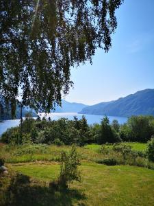 Afbeelding uit fotogalerij van Fjords view in Sjøholt