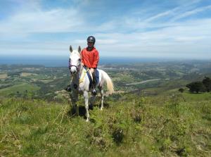 una persona montando un caballo blanco en una colina en Bajo Los Tilos, en Ribadesella